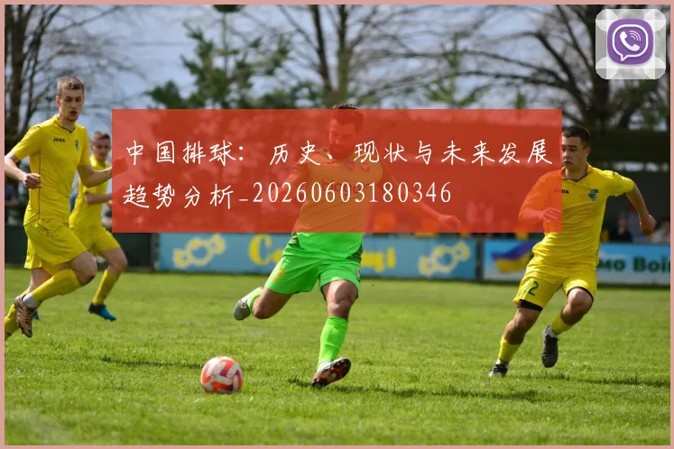 中国排球：历史、现状与未来发展趋势分析_20260603180346